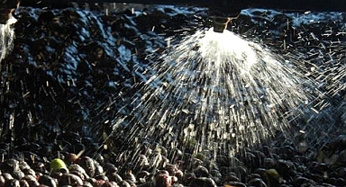 Zeytin sıkımında kullanılan su, tarıma