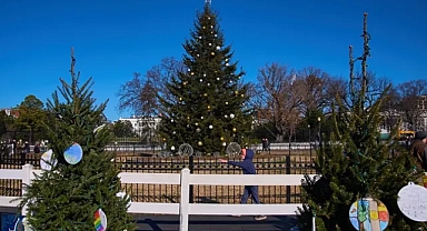 10 milyon gerçek Noel ağacı çöpe gidiyor, peki alternatif ne?