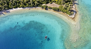 Akdeniz Koruma Derneği izleme temelli çalışmalarını 2026'ya taşıyacak
