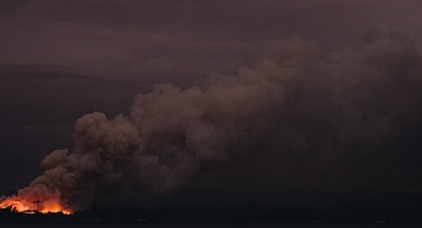 Avustralya'da son bir aydaki orman yangınlarında 110 bin hektardan fazla tarım arazisi zarar gördü