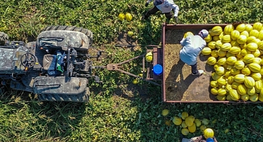 Tarım sektöründen 2025'te tüm zamanların en yüksek yıllık ihracatı