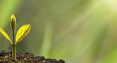 Türkiye'de düzenlenecek COP31, başarısız başlıklar için fırsat olarak görülüyor