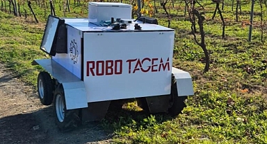 Üzüm bağlarında verim ve kaliteyi artıracak otonom robot geliştirildi