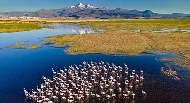2 Şubat Dünya Sulak Alanlar Günü: Doğanın Sessiz Koruyucuları Tehlike Altında