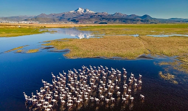 2 Şubat Dünya Sulak Alanlar Günü: Doğanın Sessiz Koruyucuları Tehlike Altında
