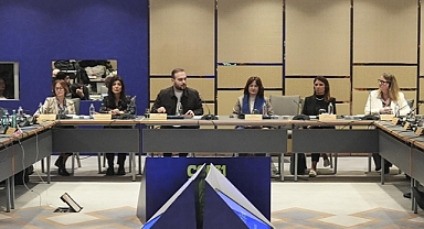 BM'deki tecrübelerini Türkiye ile paylaşan uzmanlardan 