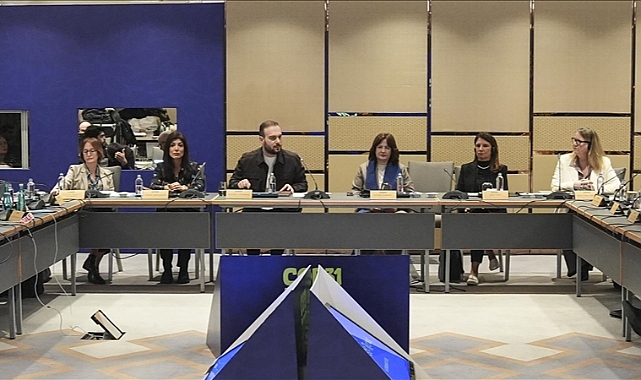 BM'deki tecrübelerini Türkiye ile paylaşan uzmanlardan 