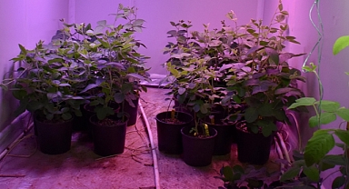 COP31 iklim kriziyle mücadelede tarım teknolojilerini ön plana çıkaracak