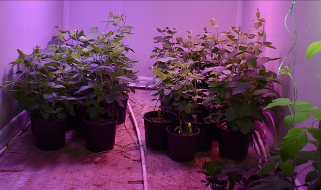 COP31 iklim kriziyle mücadelede tarım teknolojilerini ön plana çıkaracak