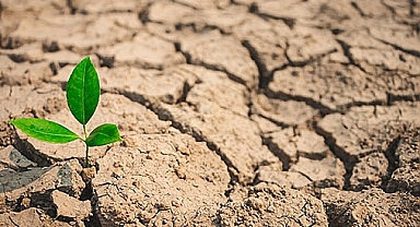 15 Mart Dünya İklim Günü: Gezegenin Geleceği İçin Harekete Geçme Zamanı