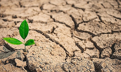 15 Mart Dünya İklim Günü: Gezegenin Geleceği İçin Harekete Geçme Zamanı