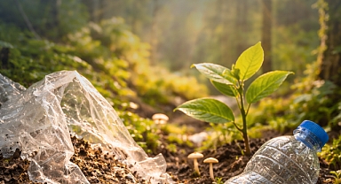 18 Mart Dünya Geri Dönüşüm Günü: Ormanları Plastik Kirliliğinden Nasıl Koruyabiliriz?