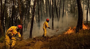 Araştırma: 'Küresel ısınma dursa bile 216 bin hektar risk altında'