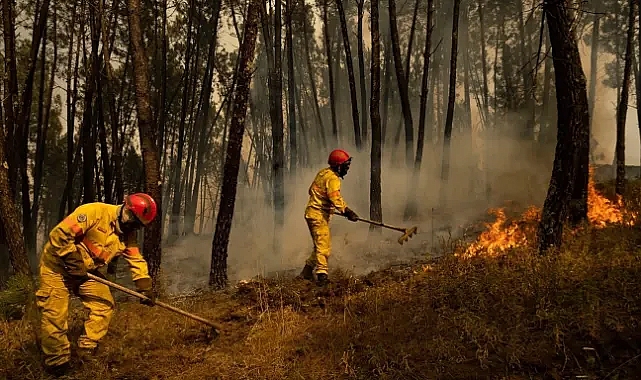 Araştırma: 'Küresel ısınma dursa bile 216 bin hektar risk altında'