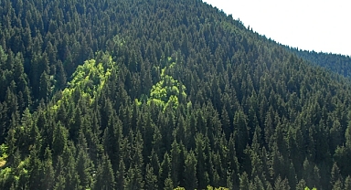 Dünya için 1 Saatini Ver!