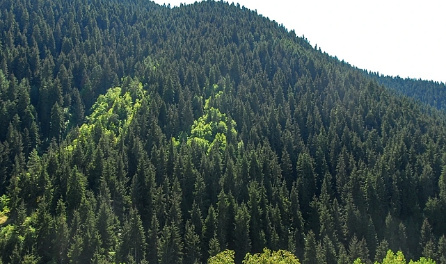 Dünya için 1 Saatini Ver!