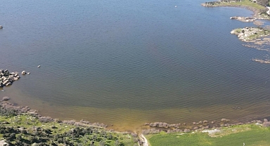 Son yağışlarla su seviyesi yükselen Bafa Gölü'nde balık çoğaldı