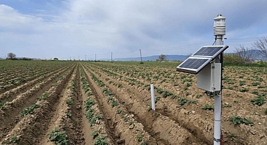 Yapay zeka destekli yazılım patates üretimini dönüştürüyor