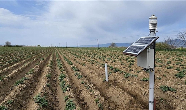 Yapay zeka destekli yazılım patates üretimini dönüştürüyor