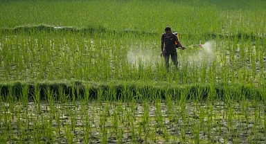 Araştırma: Tarım ilaçlarına maruz kalmak kanser riskini artırıyor