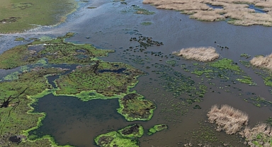 Kuraklık riski altındaki Eber Gölü'nün su seviyesi üç kat arttı