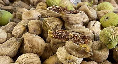 Kuru meyve ilk çeyrekte 404 milyon 460 bin dolar kazandırdı