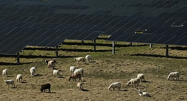 Uzmanlar AB enerji planına çağrı yaptı: Kısa vadeli önlemler reforma dönüştürülsün