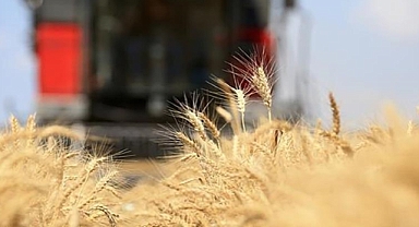 FAO: Küresel gıda fiyatları enerji ve jeopolitik baskıyla son 3 yılın zirvesinde