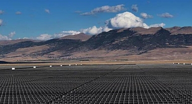 İspanya'daki güneş enerjisi santrali arı popülasyonları için güvenli yaşam alanı oldu