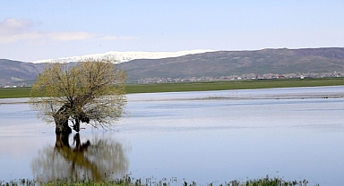 Yağışlardaki artış tarımsal üretimde verim potansiyelini yükseltti