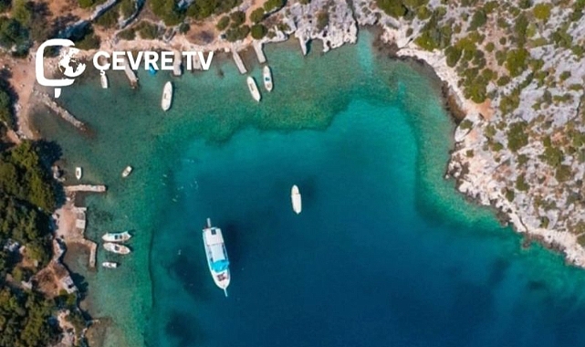 COP31 Türkiye Başkanlığı ve Bloomberg Philanthropies’ten iklim iş birliği