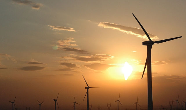 Dünya Rüzgar Günü'nde Temiz Enerjinin Önemi Vurgulanıyor
