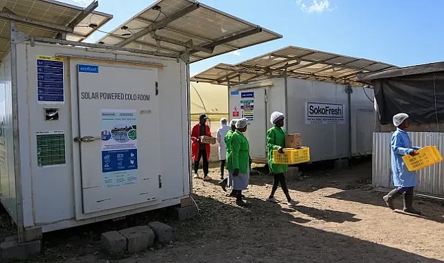 Güneş enerjili soğutucular, çiftçi gelirini %50 artırdı, gıda israfını azalttı
