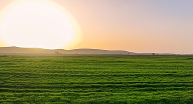WMO: Hava sıcaklığını artıran El Nino hava olayı yüzde 80 olasılıkla yakında gerçekleşecek