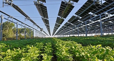AB'de güneş, Haziran'da elektriğin %25'ini karşıladı: Almanya, İspanya ve Polonya önde
