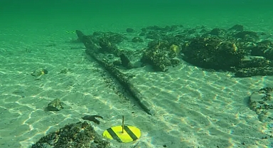 Bodensee'de bulunan Ortaçağ gemi batığı sualtı arkeologlarını şaşırttı