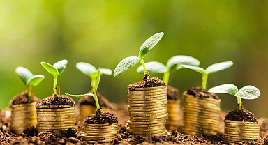 Finans araçları yeşil dönüşümle çeşitlenecek
