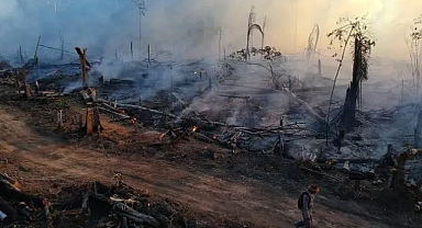 Gözler süper El Nino'da: Amazon'da orman yangınları 2025'te rekor seviyede geriledi
