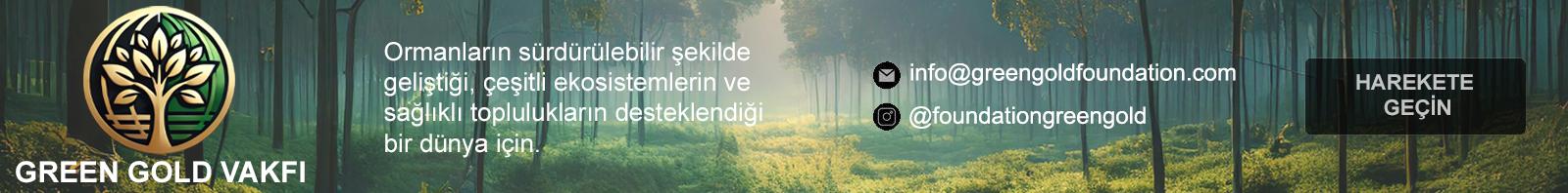 Reklam